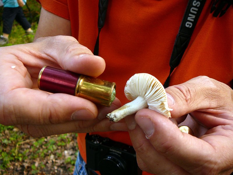 Le test du sulfate de fer